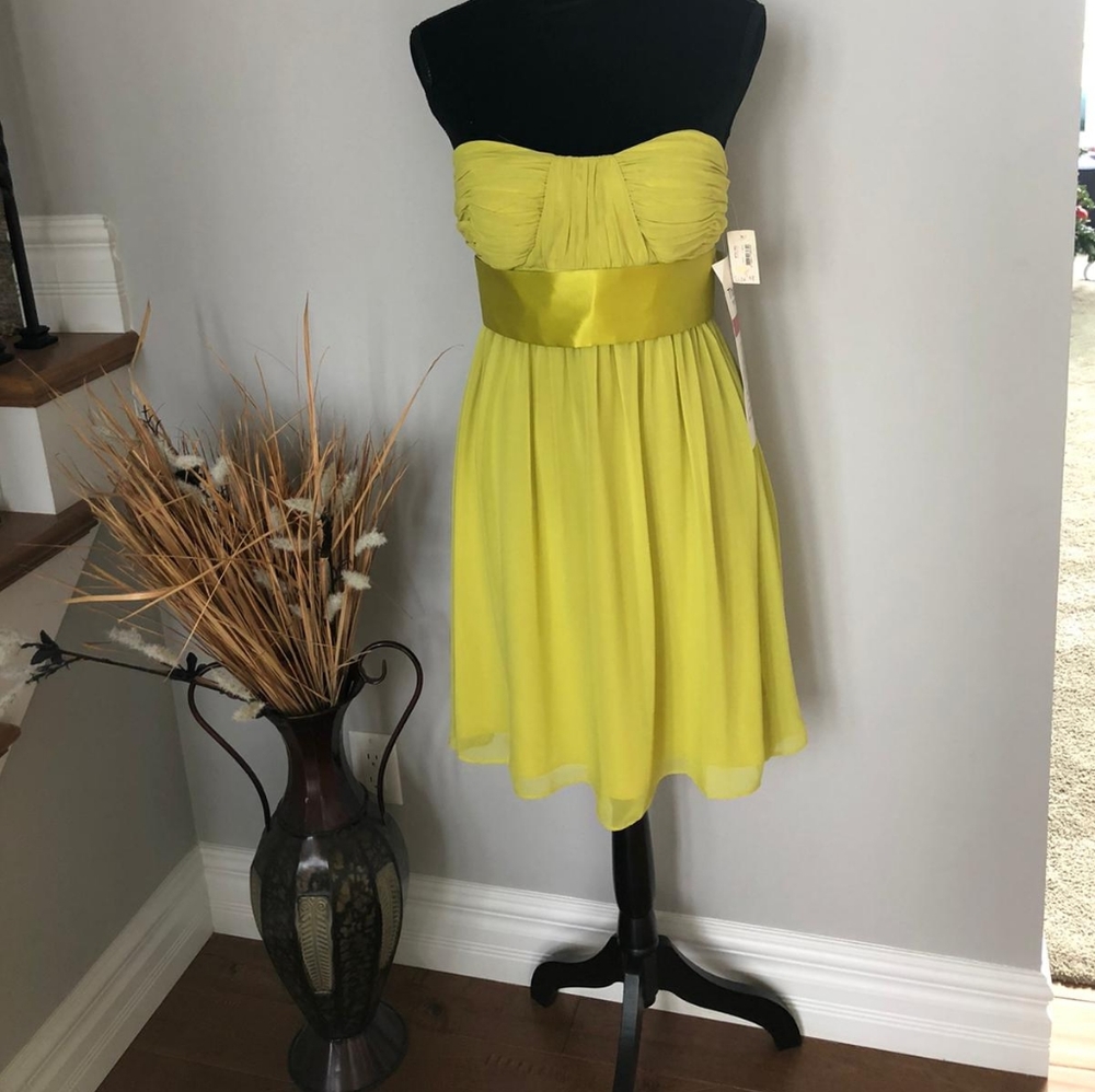 Calvin Klein Strapless Midi dress Size 4